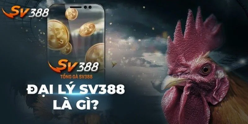 Đại Lý SV388 1 Chương trình hợp tác với SV388 mới nhất 2025 nhận được sự quan tâm từ người chơi.