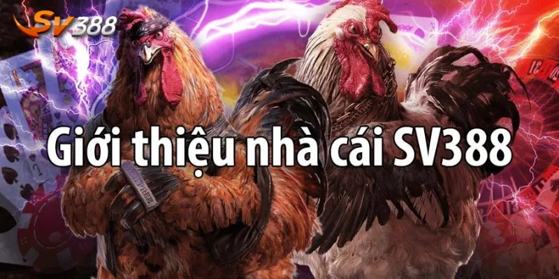 Giới Thiệu SV388 1 Giới thiệu SV388 đến bạn những thông tin tổng quan nhất.